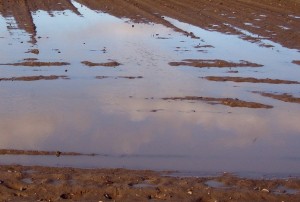 überflutetes Feld
